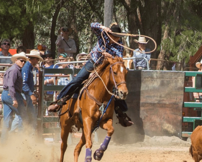 Boddington Lions Rodeo 2026 tickets