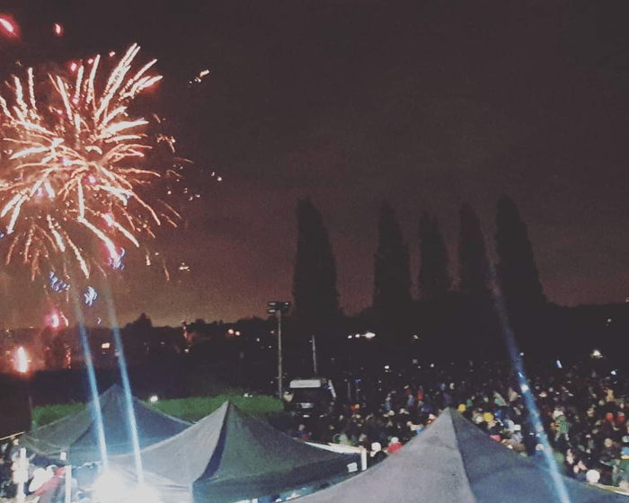 Dulwich Firework Display tickets